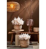 KantoormeubelenPlus Jorck Mand voor Planten - H24 x Ø26 cm - Zeegras - Lichtbruin