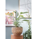 KantoormeubelenPlus Jorck Mand voor Planten - H24 x Ø26 cm - Zeegras - Lichtbruin