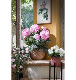 KantoormeubelenPlus Jorck Mand voor Planten - H24 x Ø26 cm - Zeegras - Lichtbruin