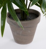 KantoormeubelenPlus Palm Kunstplant in Bloempot Stan - H40 x Ø35 cm - Groen
