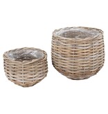 KantoormeubelenPlus Pulo Manden - Kubu