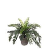KantoormeubelenPlus Cycas Palm Kunstplant in Bloempot Stan - H37 x Ø44 cm - Groen