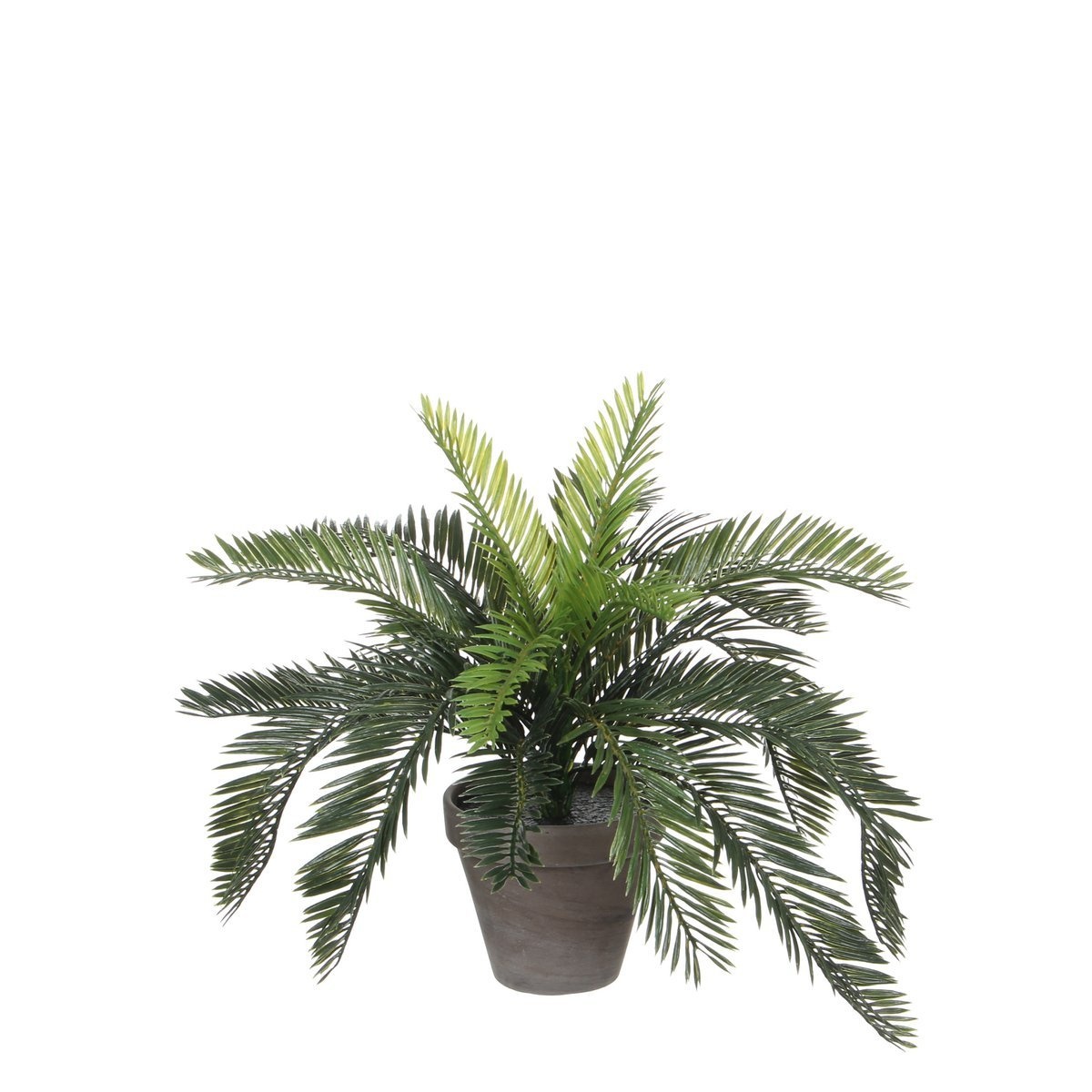 KantoormeubelenPlus Cycas Palm Kunstplant in Bloempot Stan - H37 x Ø44 cm - Groen