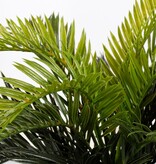 KantoormeubelenPlus Cycas Palm Kunstplant in Bloempot Stan - H37 x Ø44 cm - Groen