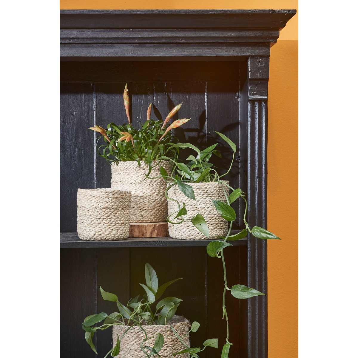 KantoormeubelenPlus Atlantic Mand voor Planten - Set van 3 - H16 x Ø16 cm - Jute - Crème