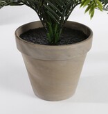 KantoormeubelenPlus Cycas Palm Kunstplant in Bloempot Stan - H37 x Ø44 cm - Groen