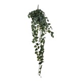 KantoormeubelenPlus Scindapsus Kunst Hangplant - H129 cm - Groen