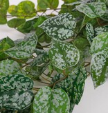 KantoormeubelenPlus Scindapsus Kunst Hangplant - H129 cm - Groen