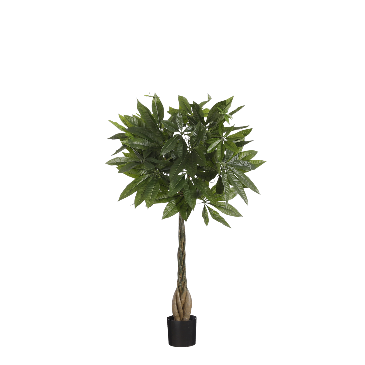 KantoormeubelenPlus Pachira Kunstplant - H80 x Ø60 cm - Groen