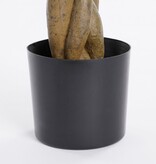 KantoormeubelenPlus Pachira Kunstplant - H80 x Ø60 cm - Groen