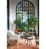 KantoormeubelenPlus Pachira Kunstplant - H80 x Ø60 cm - Groen