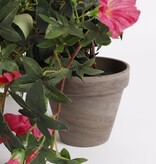 KantoormeubelenPlus Petunia Kunst Hangplant in Bloempot Stan - L25 x B45 x H50 cm - Donkerroze