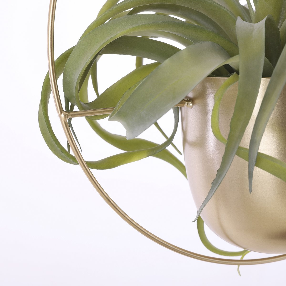 KantoormeubelenPlus Dexter Bloempot Wand - L34 x B14 x H34 cm - Goud