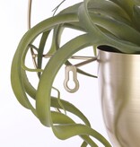 KantoormeubelenPlus Dexter Bloempot Wand - L34 x B14 x H34 cm - Goud