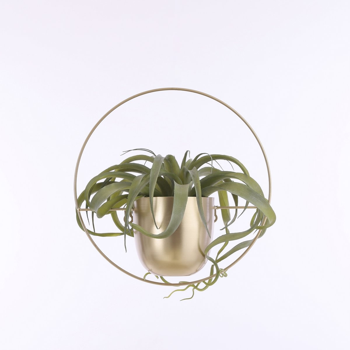 KantoormeubelenPlus Dexter Bloempot Wand - L34 x B14 x H34 cm - Goud