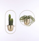 KantoormeubelenPlus Dexter Bloempot Wand - L34 x B14 x H34 cm - Goud