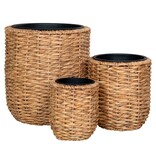 KantoormeubelenPlus Hanoi Planter - Plantenbak, waterhyacint, rond, naturel, set van 3
