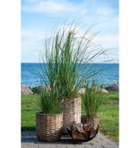KantoormeubelenPlus Hanoi Planter - Plantenbak, waterhyacint, rond, naturel, set van 3