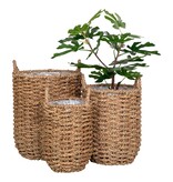KantoormeubelenPlus Hue Planter - Plantenbak, zeegras, rond, naturel, set van 3