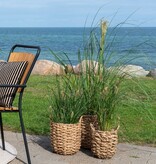 KantoormeubelenPlus Hue Planter - Plantenbak, zeegras, rond, naturel, set van 3