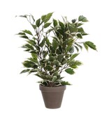 KantoormeubelenPlus Ficus Natasja Kunstplant in Bloempot Stan - H40 x Ø30 cm - Groen Bont