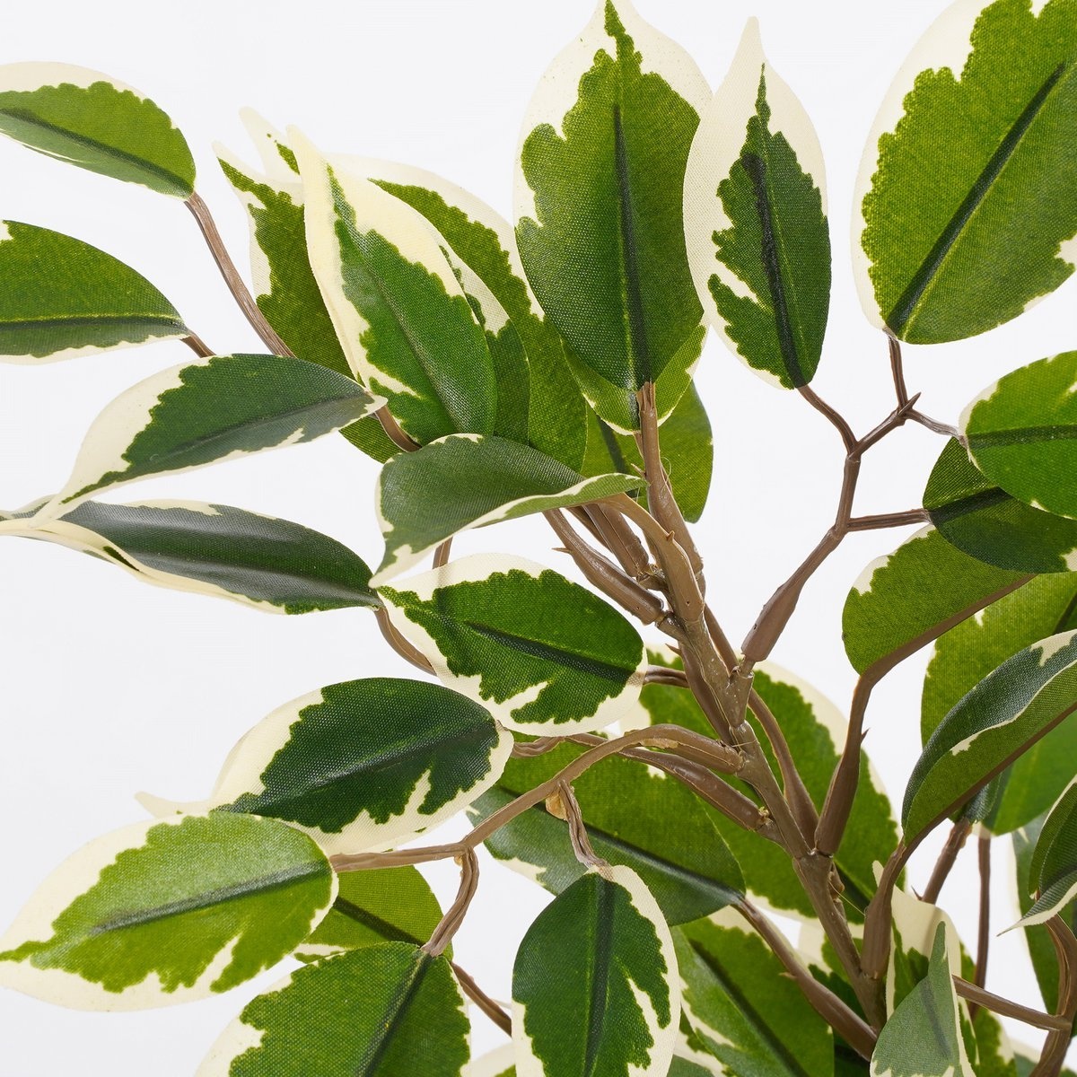 KantoormeubelenPlus Ficus Natasja Kunstplant in Bloempot Stan - H40 x Ø30 cm - Groen Bont