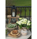 KantoormeubelenPlus Agaete Pot - Pot in cement, beige, Ø22,5x19,5 cm