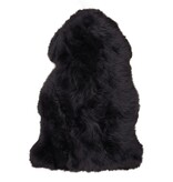 KantoormeubelenPlus Lamsvel