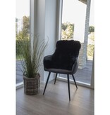Lamsvel