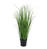 Poa Gras