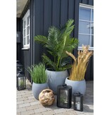 KantoormeubelenPlus Marton Planters - 3 plantenbakken in grijze fiberclay