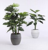 KantoormeubelenPlus Philodendron Kunstplant - H120 x Ø80 cm - Groen