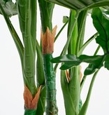 KantoormeubelenPlus Philodendron Kunstplant - H120 x Ø80 cm - Groen