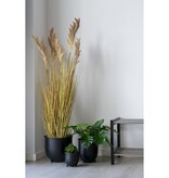 KantoormeubelenPlus Nova Bloempotten