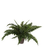 KantoormeubelenPlus Boston Varen Kunstplant in Bloempot Stan - H42 x Ø50 cm - Groen