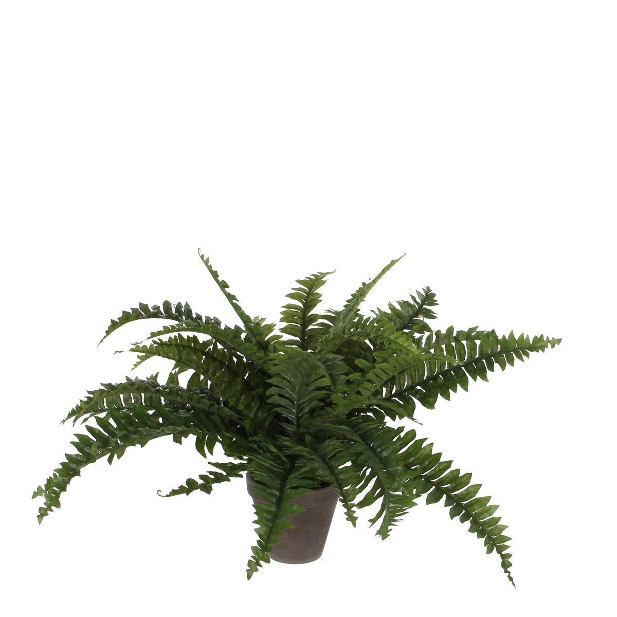 KantoormeubelenPlus Boston Varen Kunstplant in Bloempot Stan - H42 x Ø50 cm - Groen