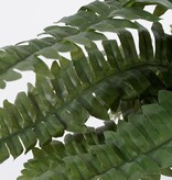 KantoormeubelenPlus Boston Varen Kunstplant in Bloempot Stan - H42 x Ø50 cm - Groen