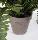 KantoormeubelenPlus Boston Varen Kunstplant in Bloempot Stan - H42 x Ø50 cm - Groen