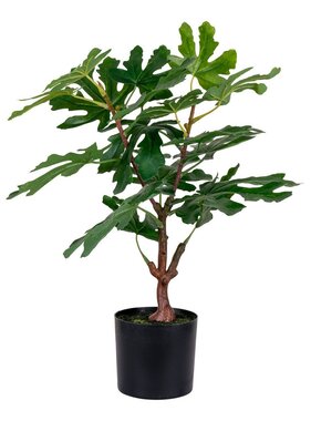 KantoormeubelenPlus Vijgenboom - Groen