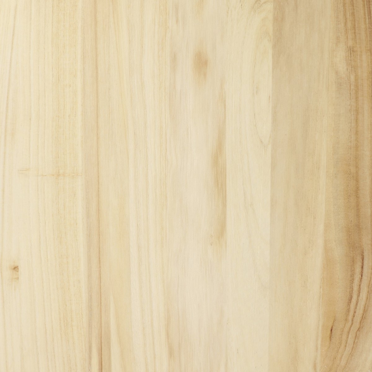 KantoormeubelenPlus Oskar Plantentafel - L35 x B35 x H81 cm - Hout, Metaal - Zwart