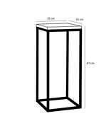 KantoormeubelenPlus Oskar Plantentafel - L35 x B35 x H81 cm - Hout, Metaal - Zwart