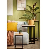 KantoormeubelenPlus Oskar Plantentafel - L35 x B35 x H81 cm - Hout, Metaal - Zwart