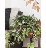 KantoormeubelenPlus Tradescantia Kunst Hangplant - L15 x B30 x H80 cm - Groen