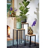 KantoormeubelenPlus Oskar Plantentafel - L35 x B35 x H81 cm - Hout, Metaal - Zwart