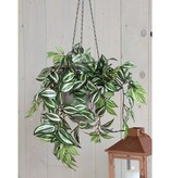 KantoormeubelenPlus Tradescantia Kunst Hangplant - L15 x B30 x H80 cm - Groen