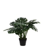 KantoormeubelenPlus Monstera Kunstplant - H60 x Ø80 cm - Groen