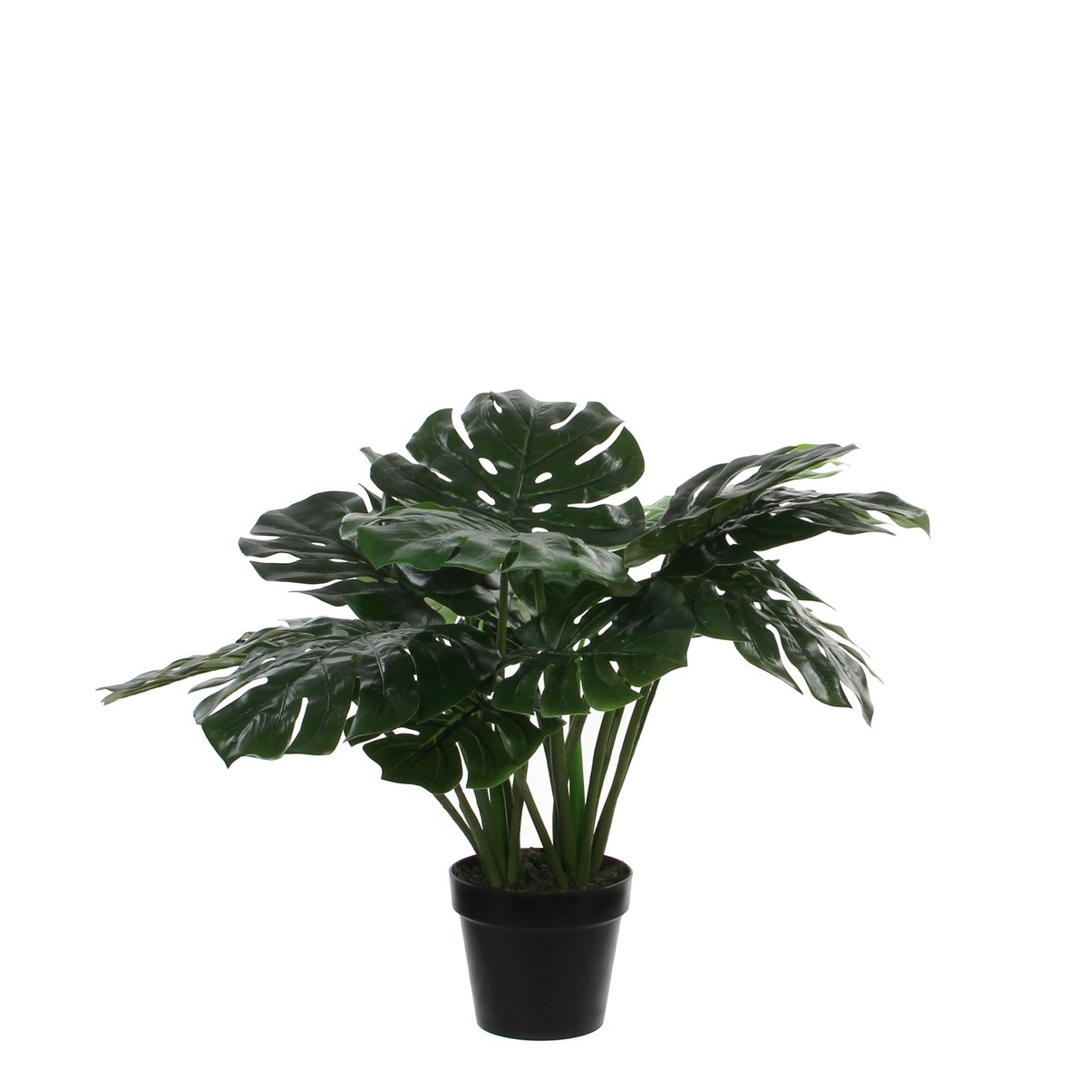KantoormeubelenPlus Monstera Kunstplant - H60 x Ø80 cm - Groen
