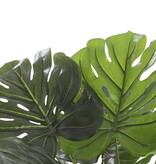 KantoormeubelenPlus Monstera Kunstplant - H60 x Ø80 cm - Groen