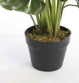 KantoormeubelenPlus Monstera Kunstplant - H60 x Ø80 cm - Groen