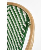 KantoormeubelenPlus Mandox Bistrostoel - L51 x B57 x H90 cm - Rotan - Donkergroen, Wit
